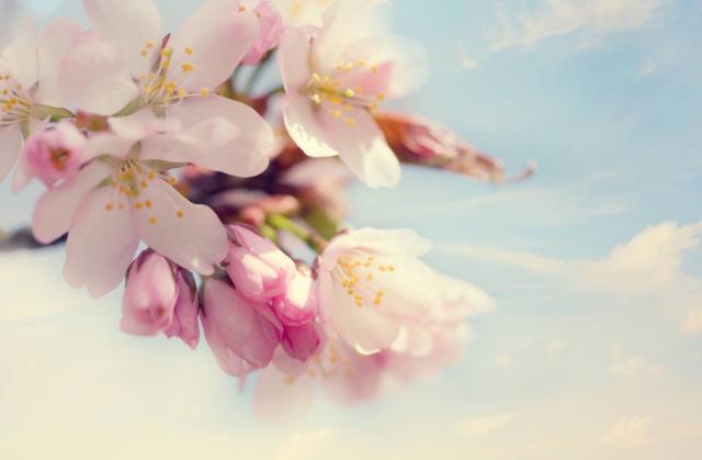 如果有一天表白了你会怎么样,如果有一天有一个男孩跟你表白