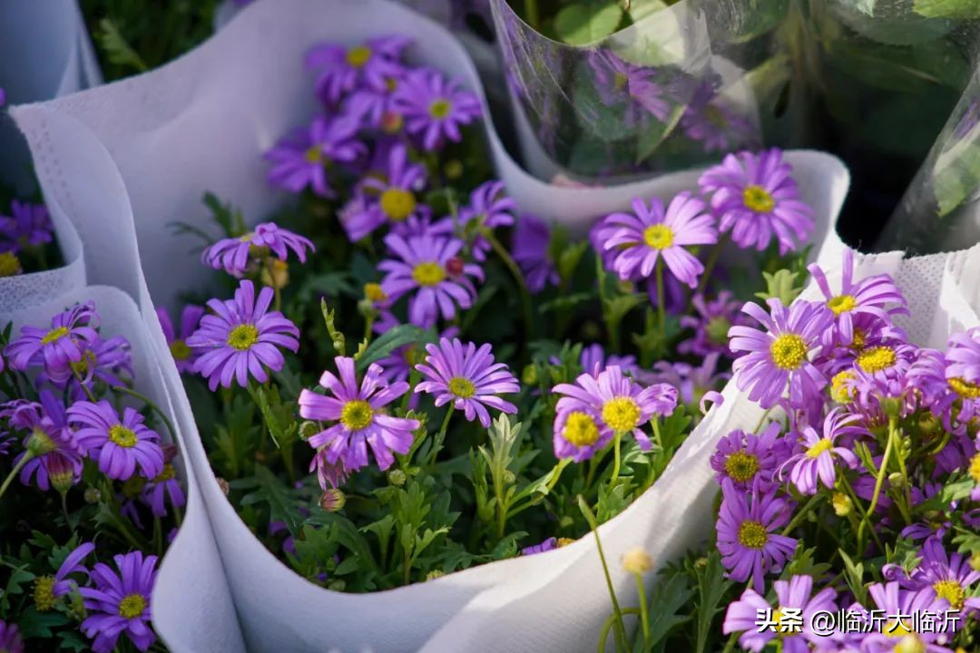 临沂逛批发市场攻略,临沂十大购物逛街最好的地方