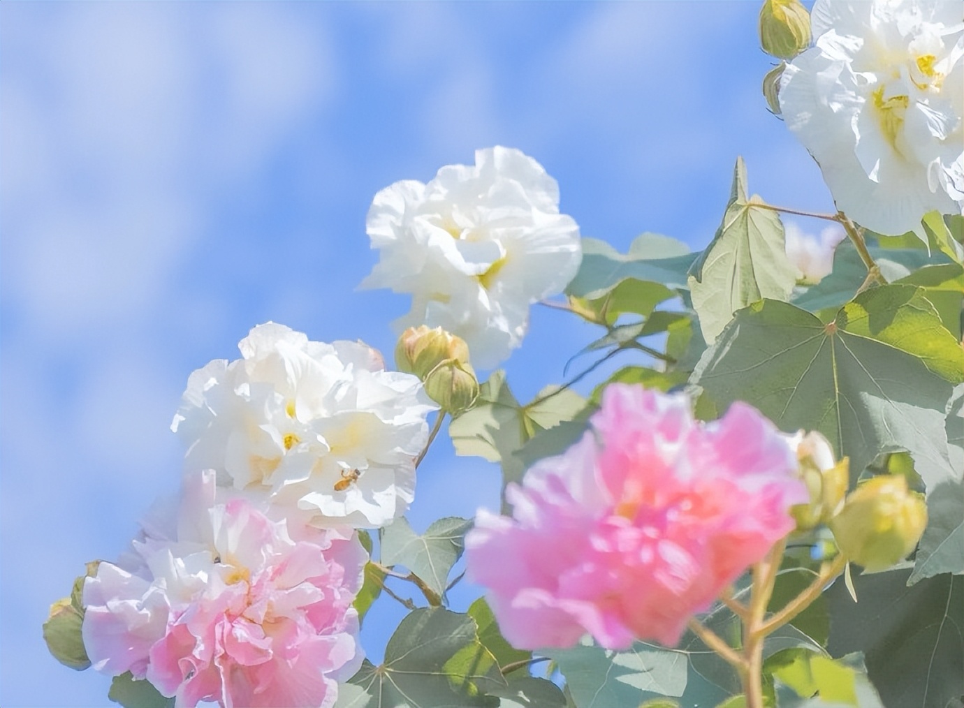 老了跟父母一起住还是分开住,人老了能和子女在一起住吗