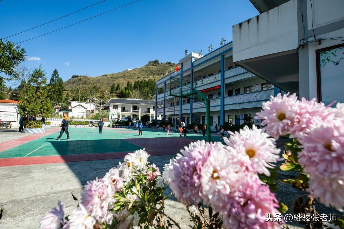 郑州市各区比较好的小学,郑州各小学排名前十的学校