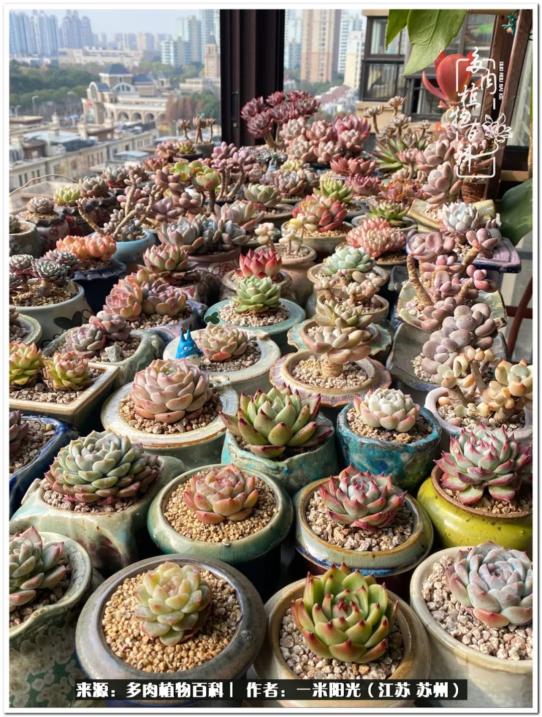 幸福就是珍惜当下所拥有的,珍惜当下所拥有的才是幸福的