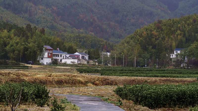 打卡安庆古城,安庆旅游和美食