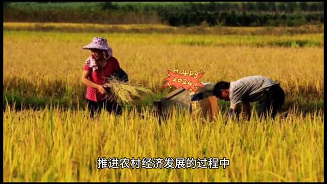 农村信用社和农业发展银行,农村信用社的发展