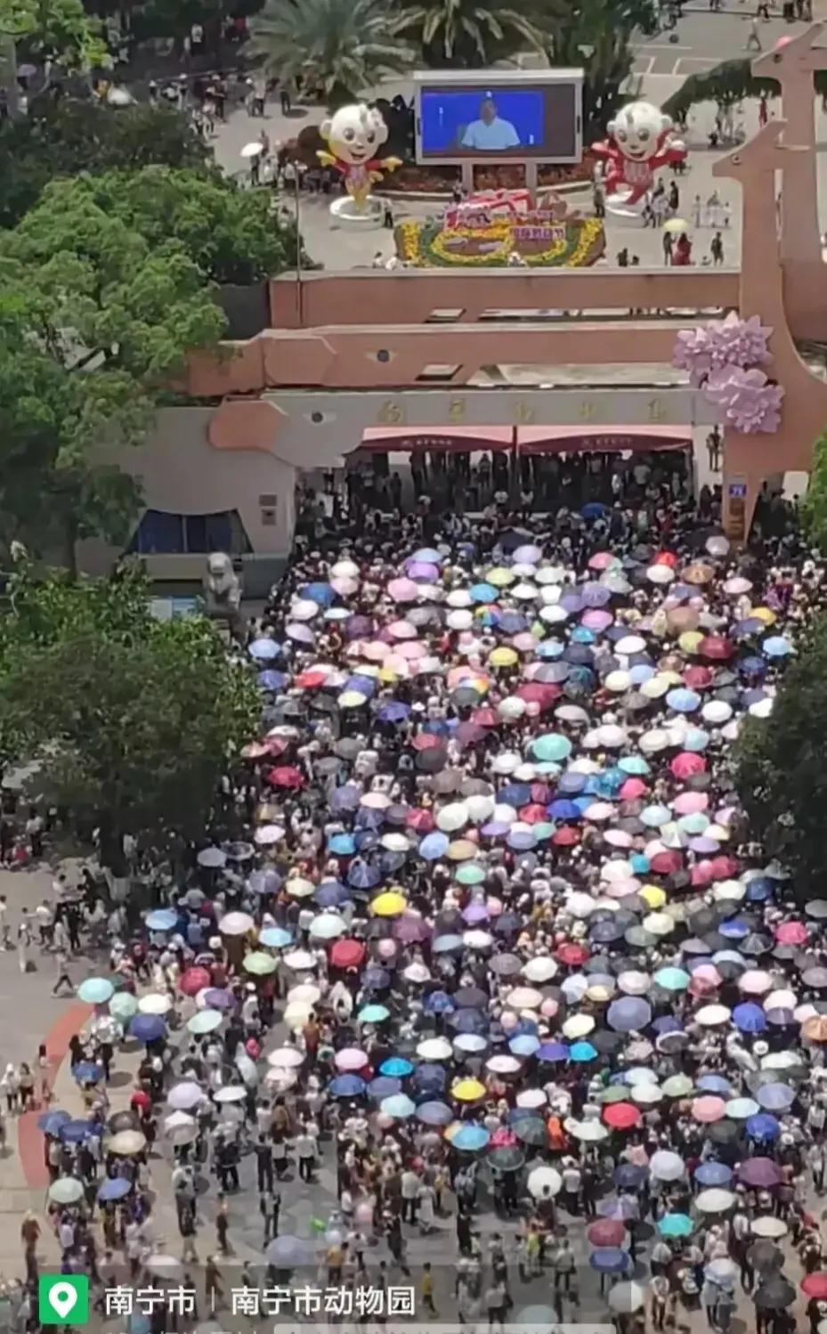 韩旅局自信爆“五一赴韩旅游的中国人增长760%”日媒光速打脸韩国