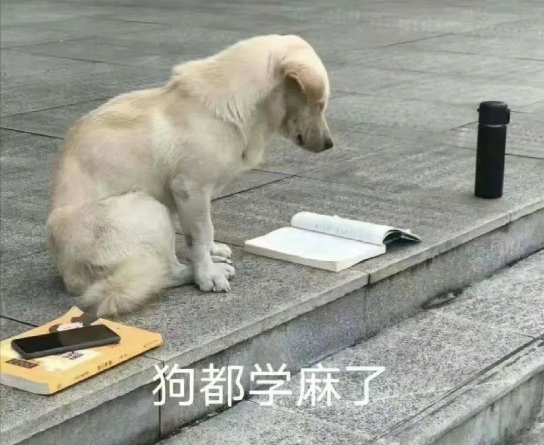 吃瓜动态表情包下载,躺床上吃瓜表情包