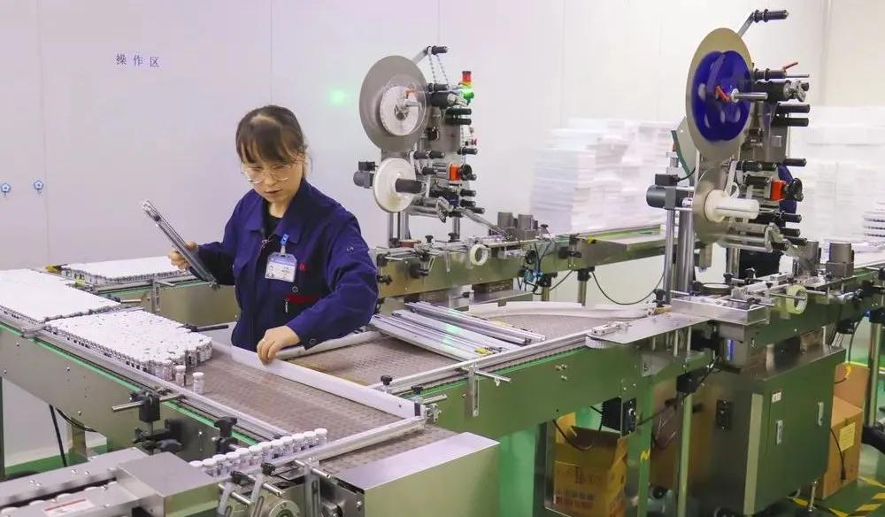 奋楫笃行砺初心踔厉奋发谋未来,奋楫笃行绘新篇