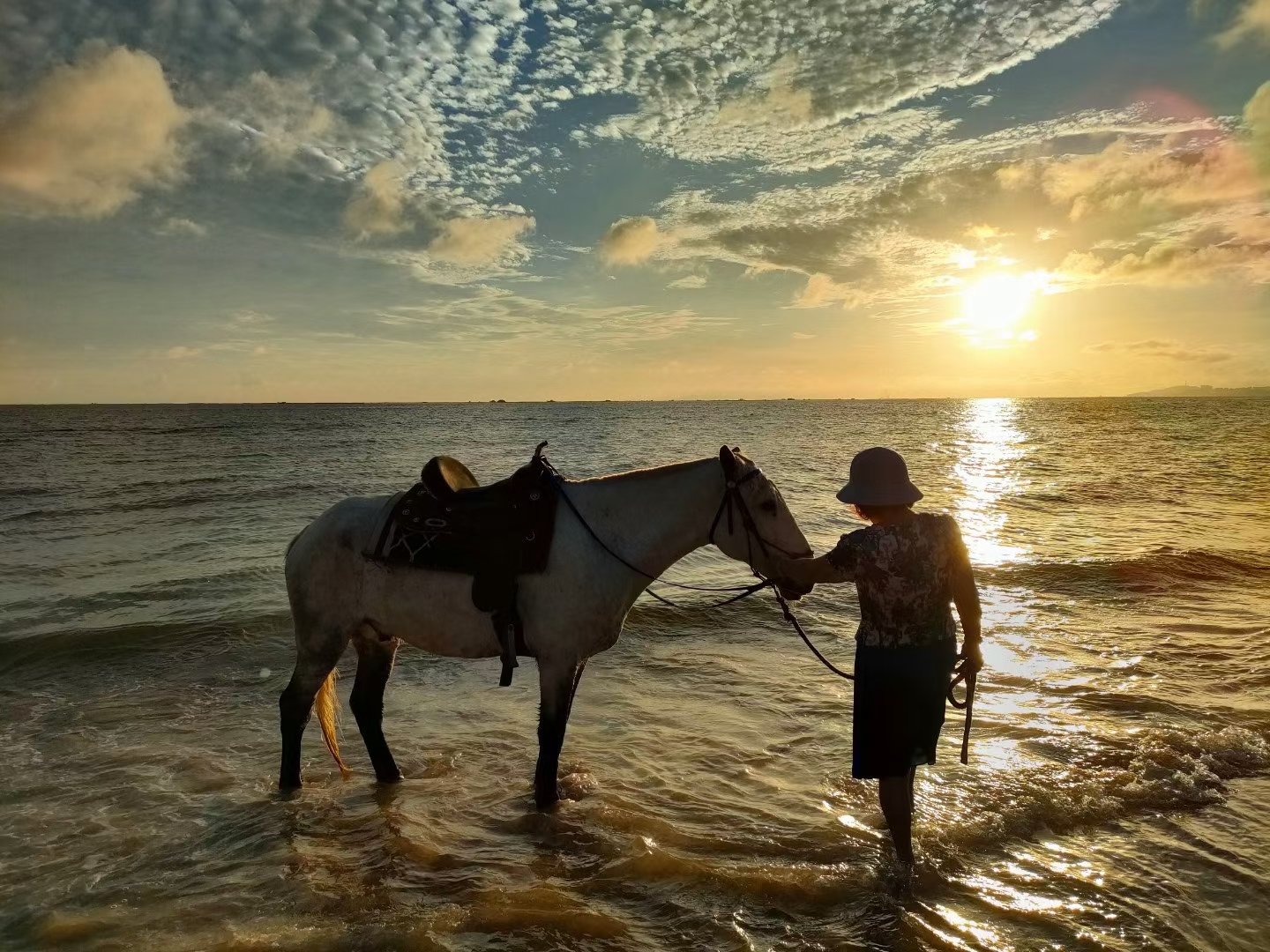 2023华杯赛夏令营,华誉外交官