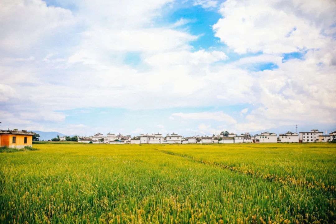 一起去有风的地方夏天,一起去有风有海的地方