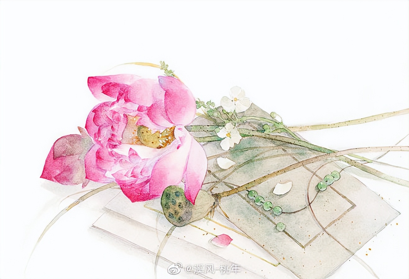 十首最美荷花诗词,最有韵味的荷花十首诗词