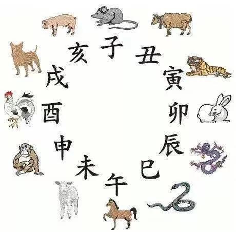 双春黑兔年2024年是什么年,水兔年是黑兔吗