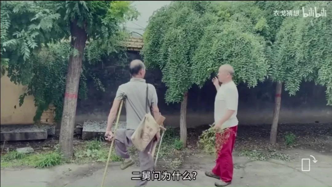 回村三天，‘二舅’靠什么治愈全网的精神内耗？