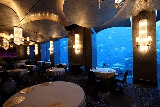 造价500万美元的海底餐厅！开一瓶5.2万美元的水晶香槟