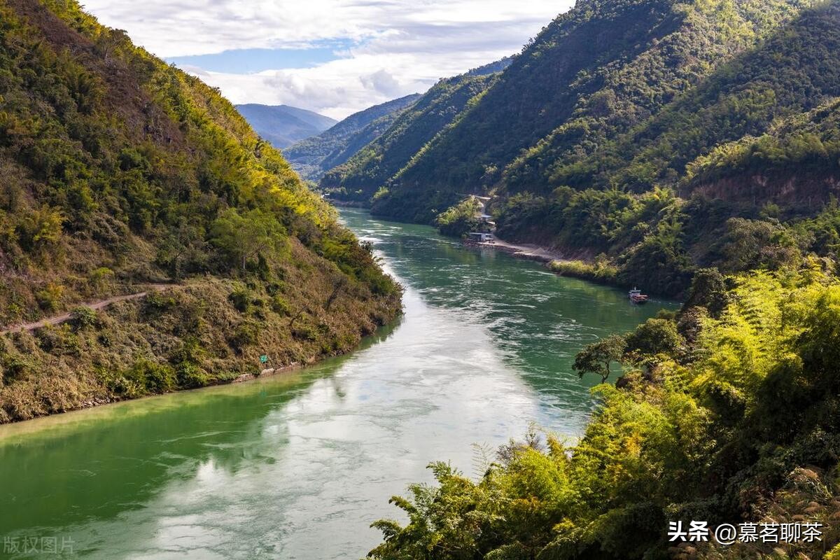 普洱茶神话破灭,普洱茶炒作的真相是什么