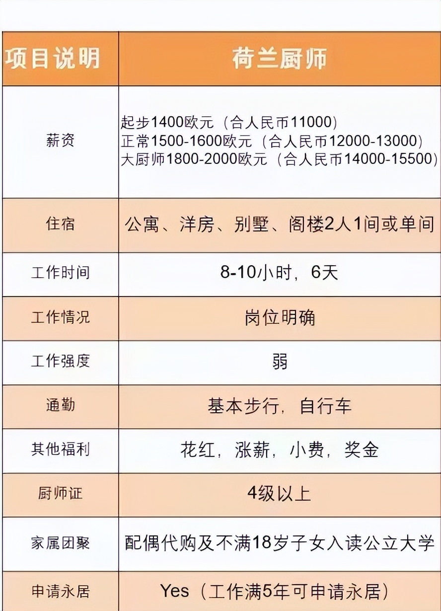 荷兰厨师劳务签证,荷兰厨师签证有回访电话吗