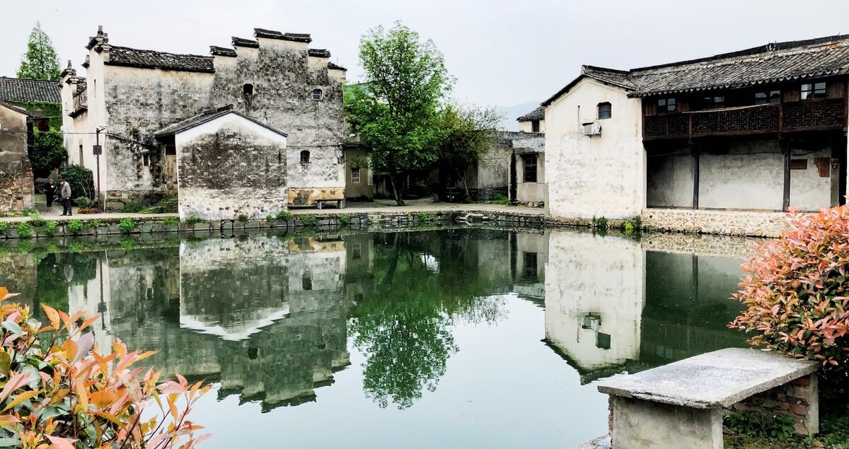 向往的生活浙江桐庐,桐庐值得不值得去