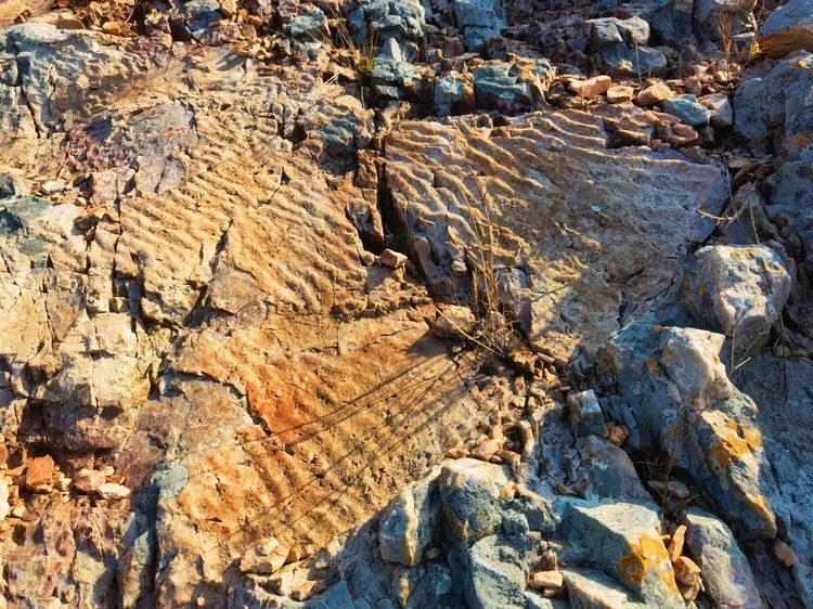 旅顺城山,旅顺城山怎么绕过去