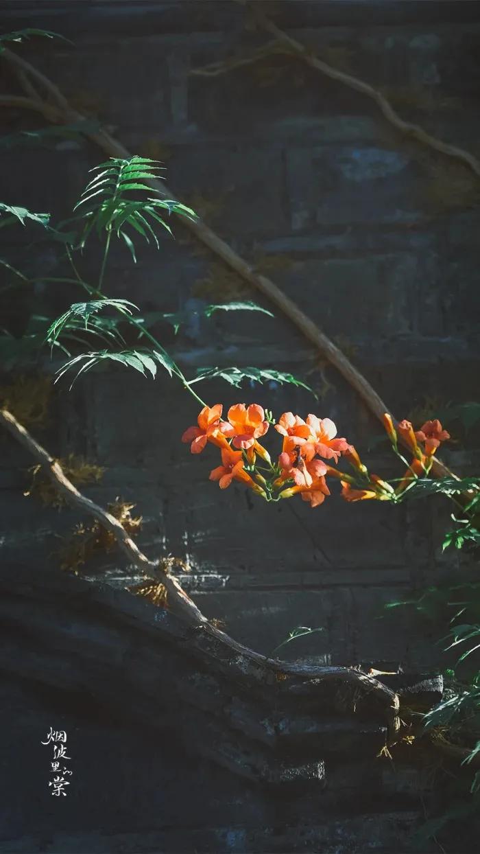 壁纸分享来点养眼的吧,励志文案壁纸超清全面屏