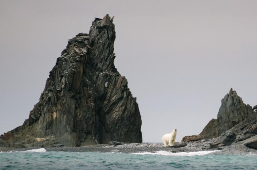 印度男子骑自行车去瑞典,印度小伙骑自行车追求瑞典女孩
