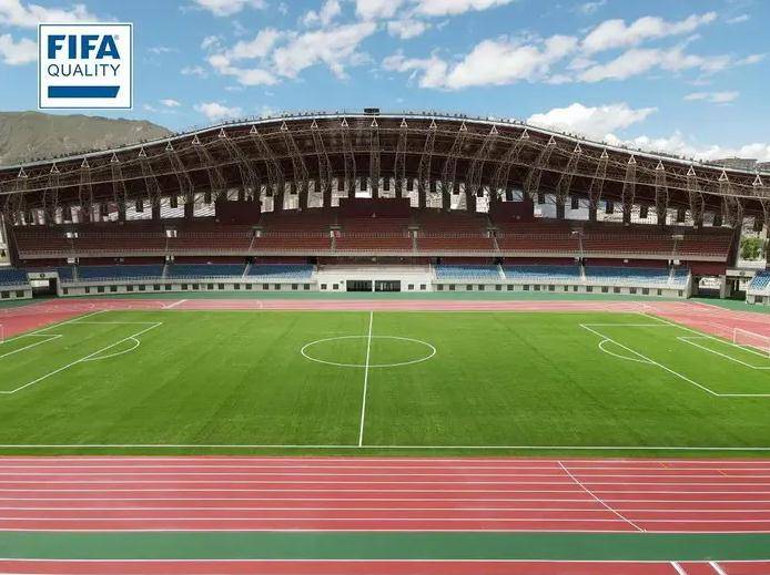 职业足球荒漠,中国足球荒漠