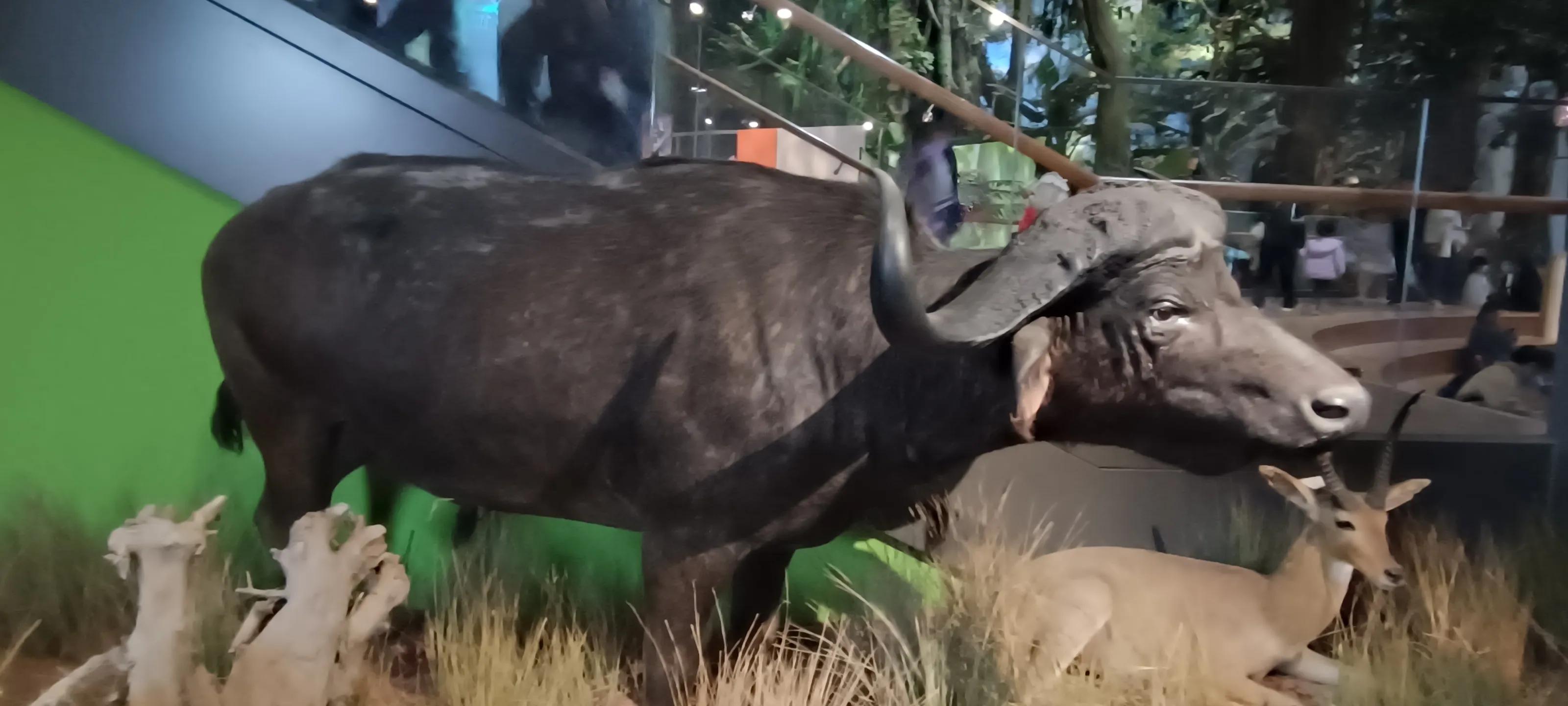 河南省科技馆新馆中标公示,河南省科技馆新馆预约门票