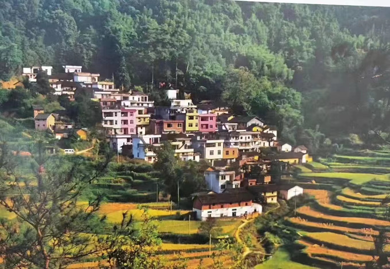 80后小学时光,80后的怀旧时光