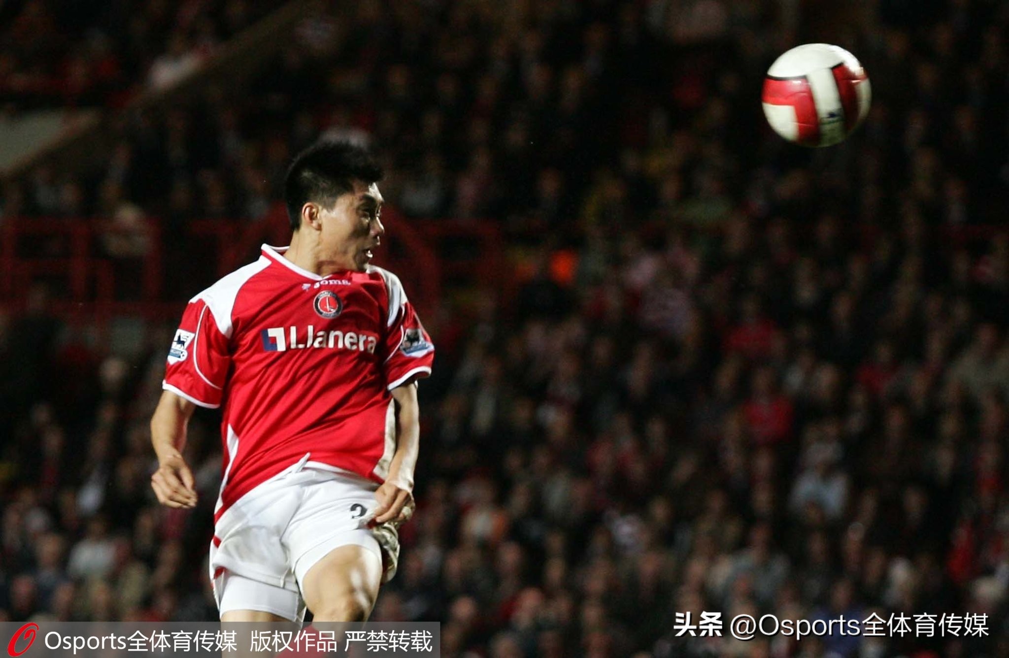 广州恒大足球队郑智最新消息,郑智出任广州队教练