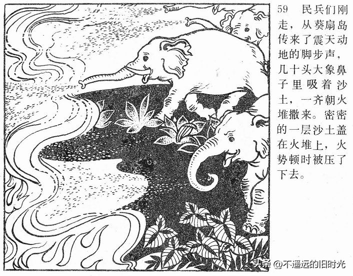 大象搬家,大象搬家河北