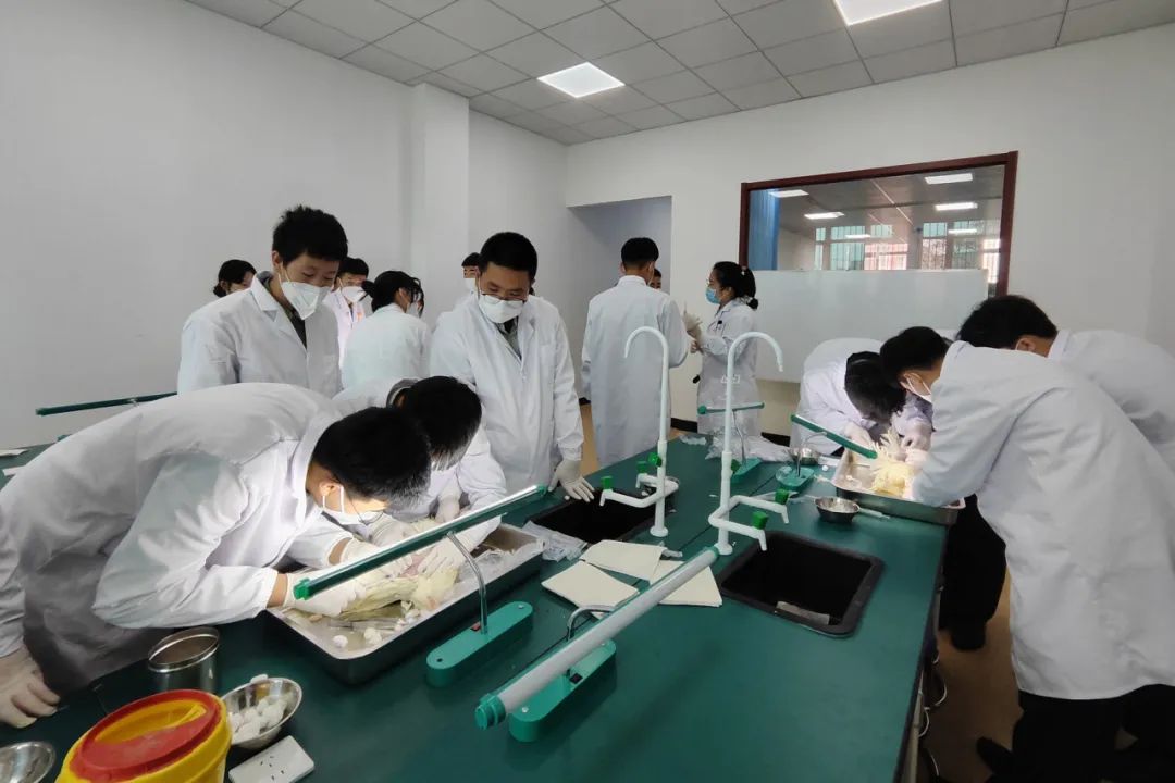 大连中港教育学校,大连中港教育是什么