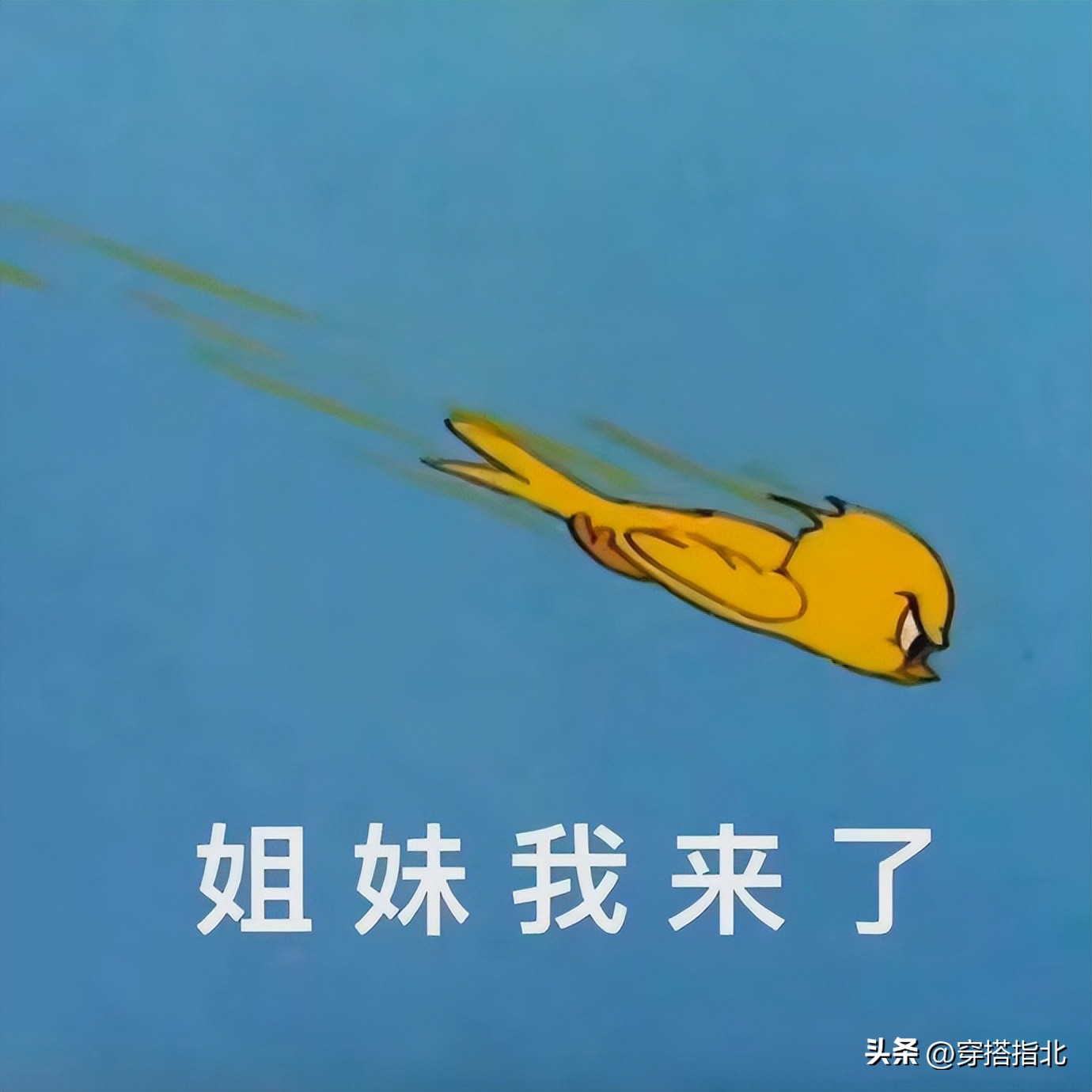 那些被发现ins的博主,最近很火的一个ins博主