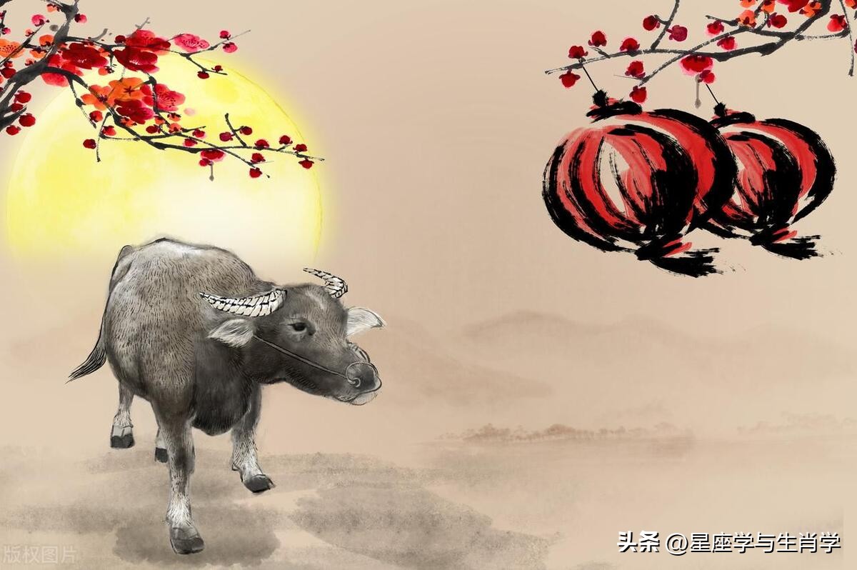 生肖牛的运势大全图解,2023年12月25日吉祥色