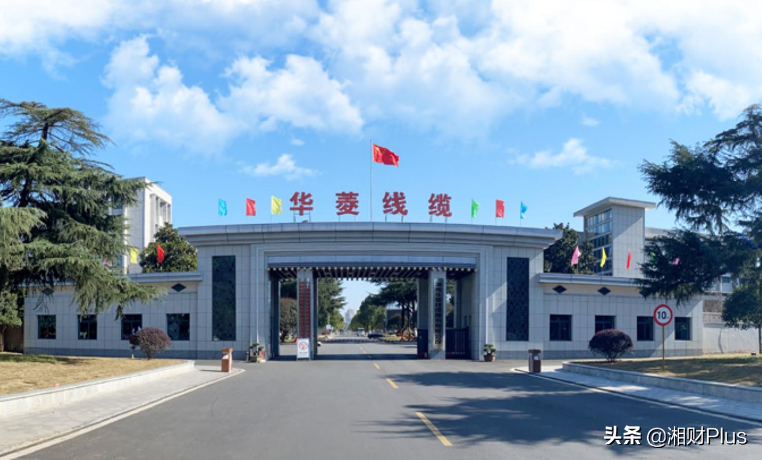 华菱线缆年薪71万财务总监年前辞职，38岁女董秘再兼重任