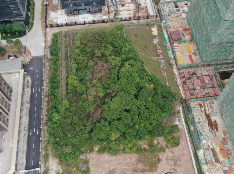 半导体检测中科飞测,中科飞测半导体设备光学检测