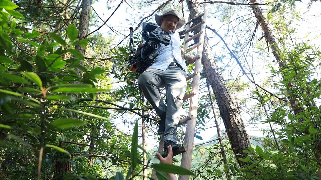 无人荒岛上的巨蟒,巨蟒流落荒岛