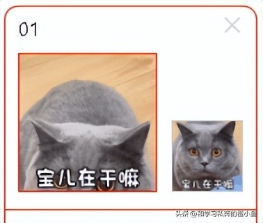 猫和老鼠动态表情包gif微信,乔杉搞笑动图gif微信表情包