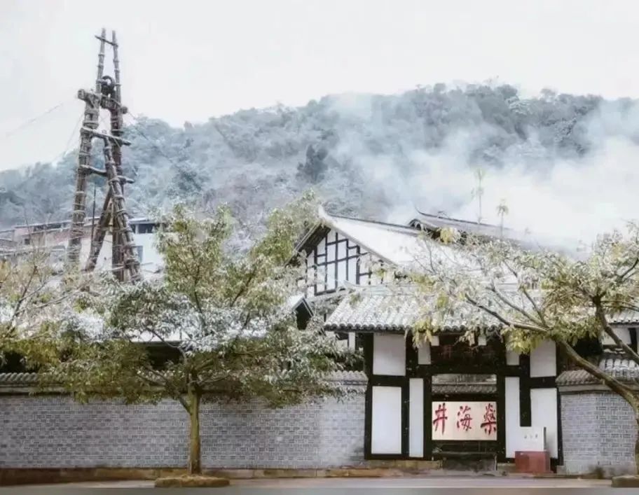 如果你要写自贡，就不要只写自贡