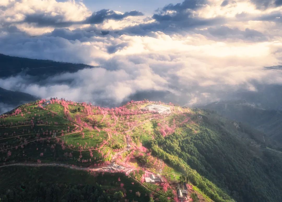 日本赏樱的小众景点,必去热门赏樱圣地