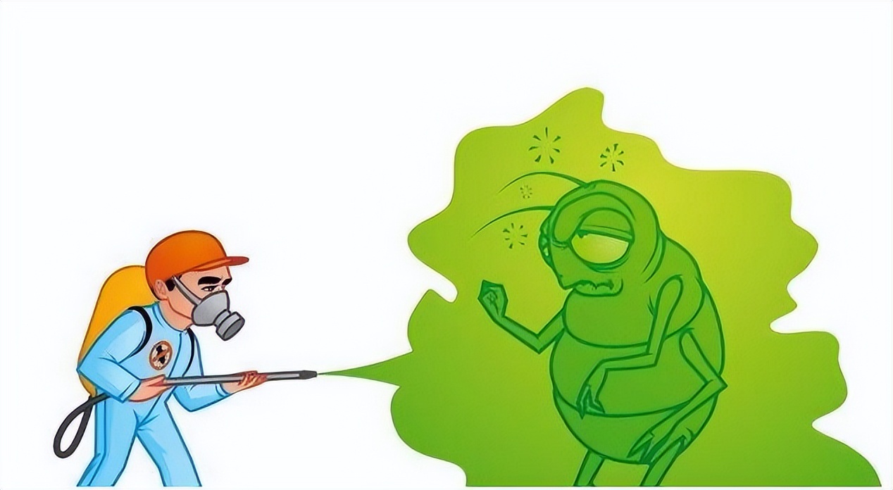 消灭蟑螂的100种方法之油炸蟑螂,蟑螂怎么消灭最彻底的方法