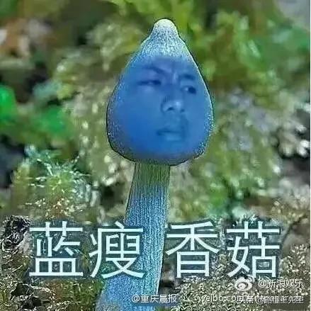 经典成语二十大,十大必背成语大全