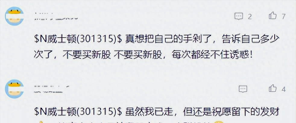 威士顿上市首日涨幅,威士顿上市能盈利多少