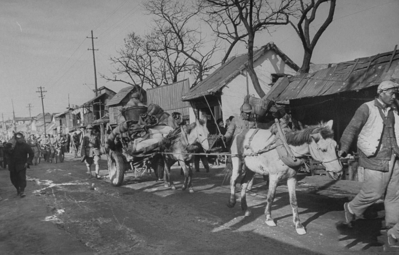 山西土匪乔日成,晋北巨匪乔日成故事