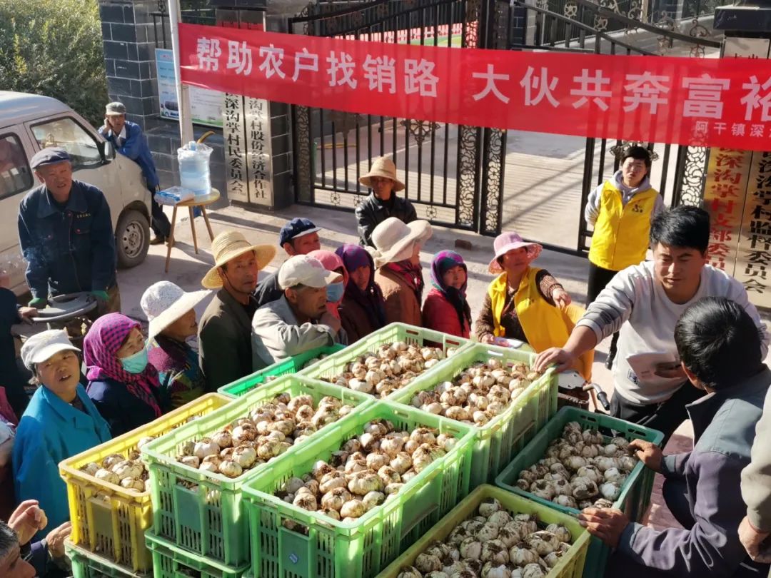 我们这十年原视频,我们这十年东乡