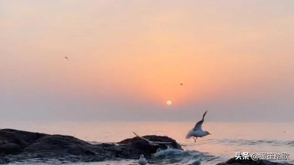 那段忘不了的记忆,那段再也回不去的记忆