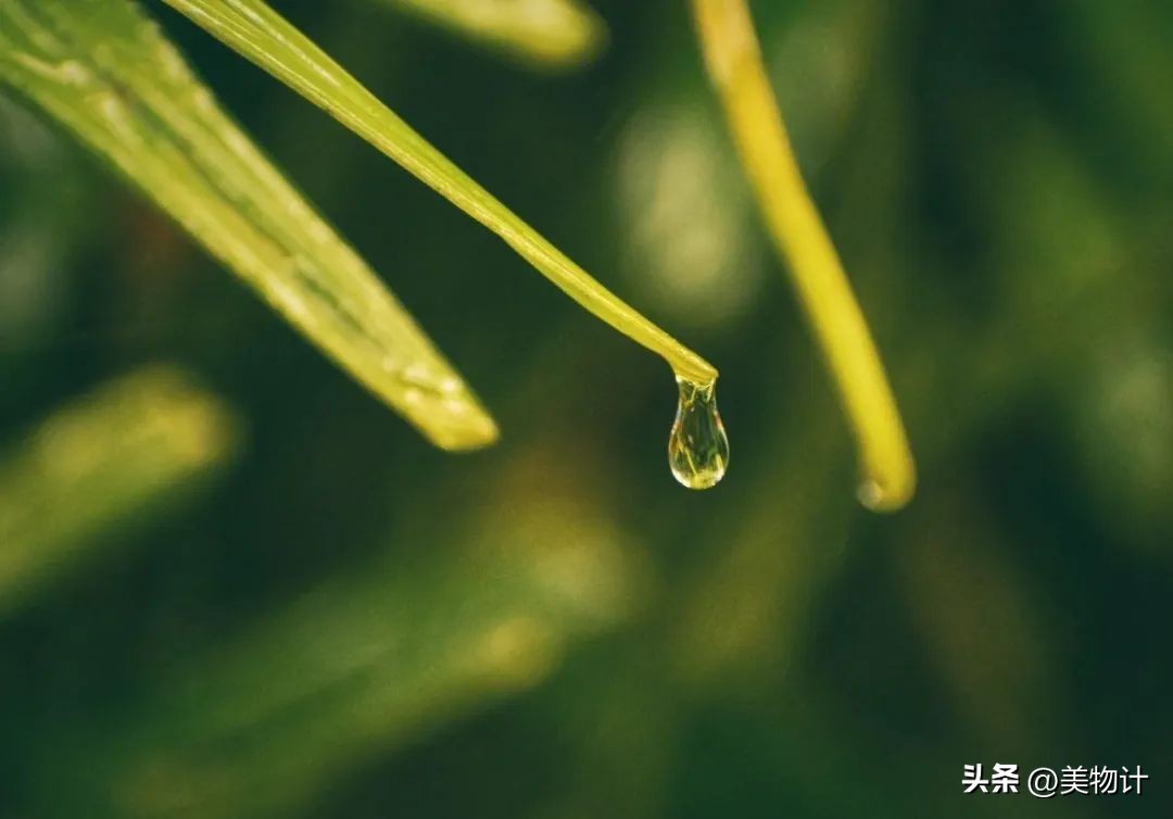 王维禅意诗十首,王维禅意诗