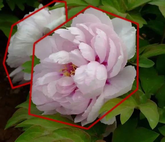 画怎样准确造型,画侧面的两种方法