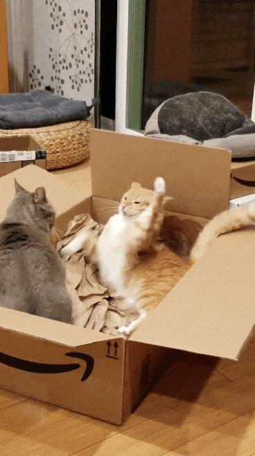 “老鼠贴粘到的，吃了不会犯法吧？”网友：争取死缓吧！哈哈哈