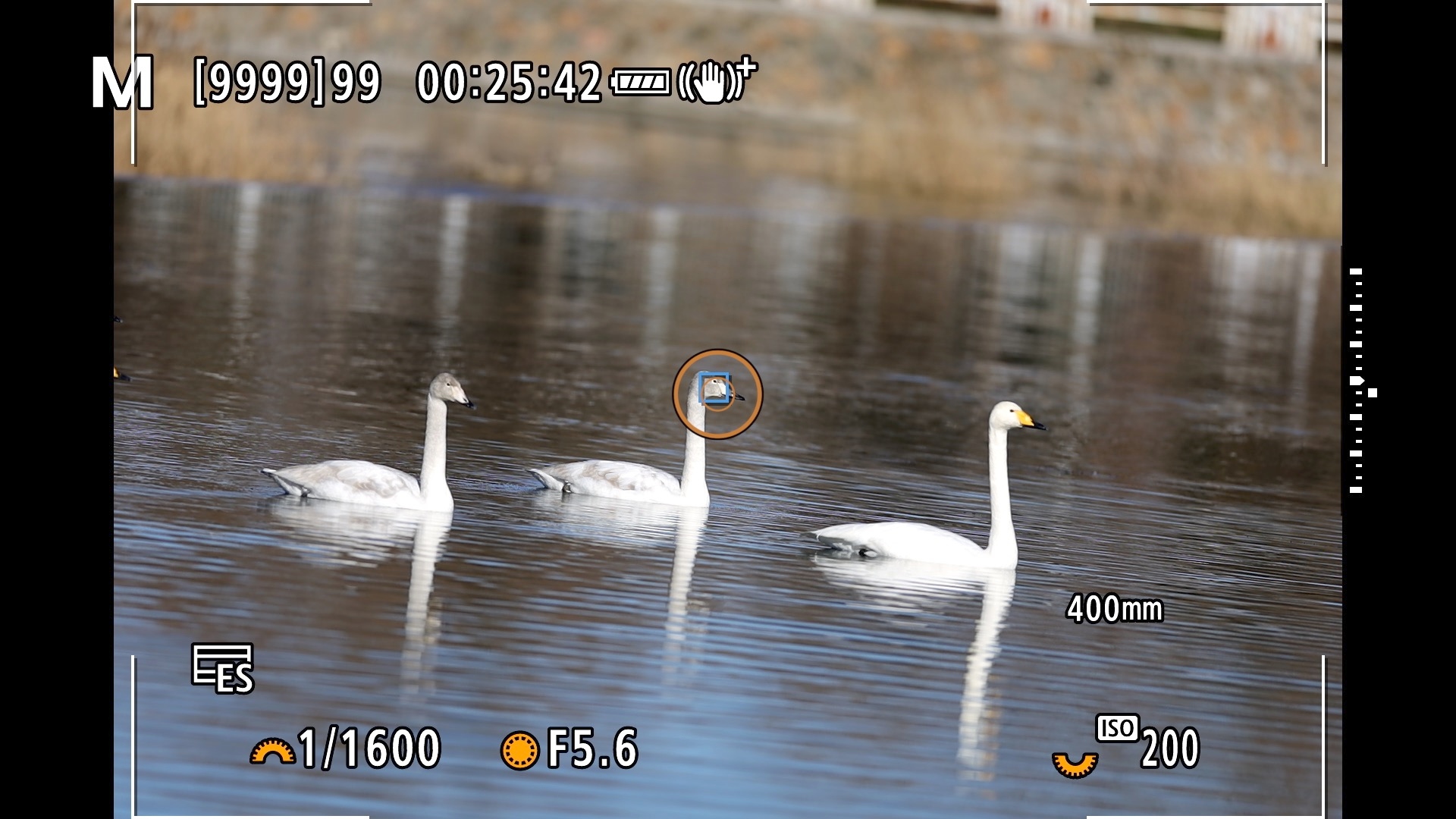 佳能canoneosr3测评,佳能eosr3震撼登场