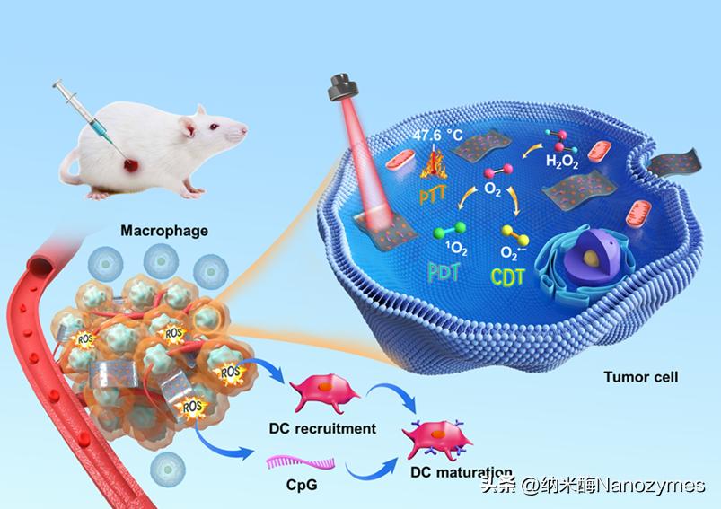 nanotoday,nanotoday好吗