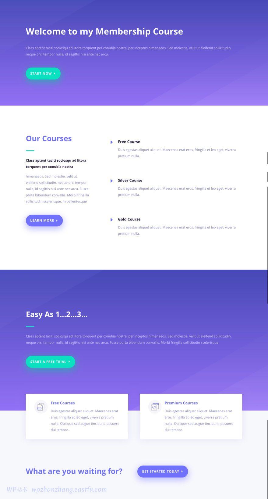 divi建站,divi中文教程