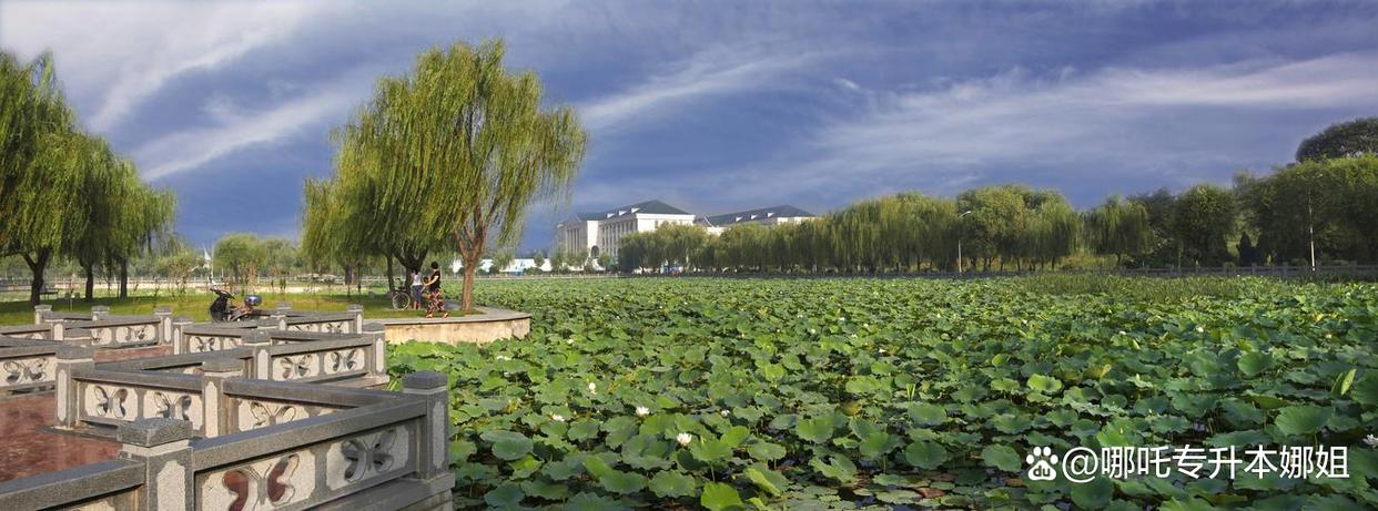 应天书院商丘师范学院,商丘师范学院的发展史