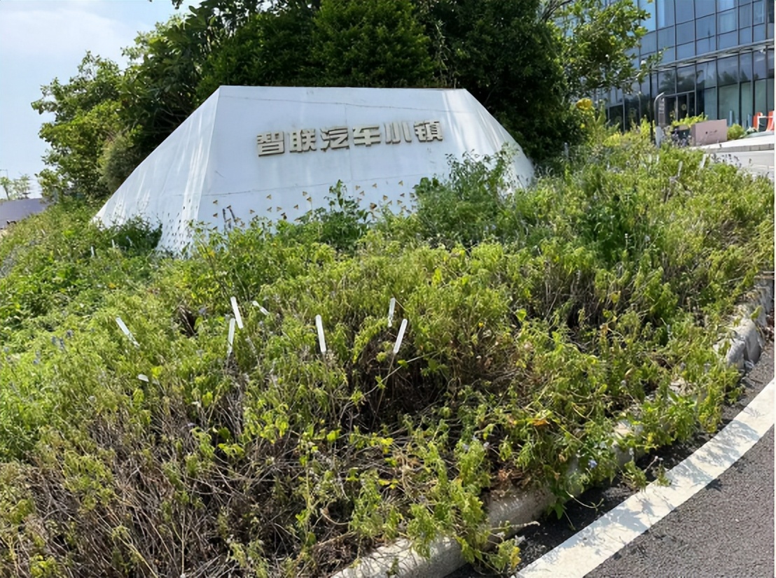 38℃，我在这里打车，没有一辆滴滴愿意来…